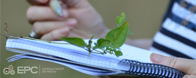Studiu de Evaluare Adecvată POIM 